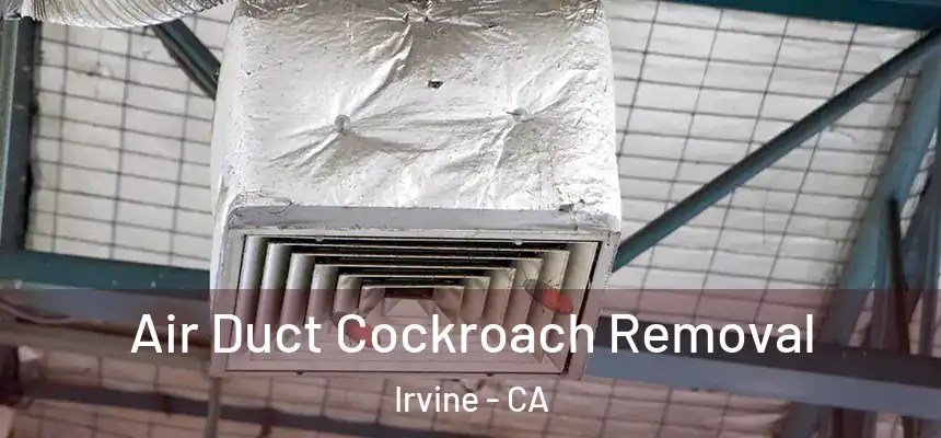 Air Duct Cockroach Removal Irvine - CA