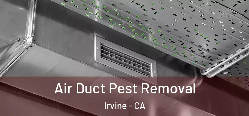 Air Duct Pest Removal Irvine - CA