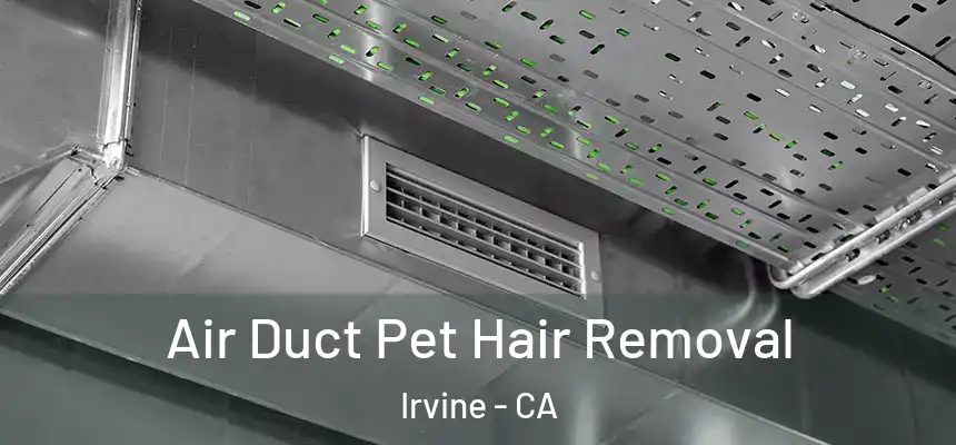 Air Duct Pet Hair Removal Irvine - CA