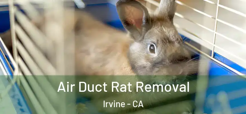 Air Duct Rat Removal Irvine - CA