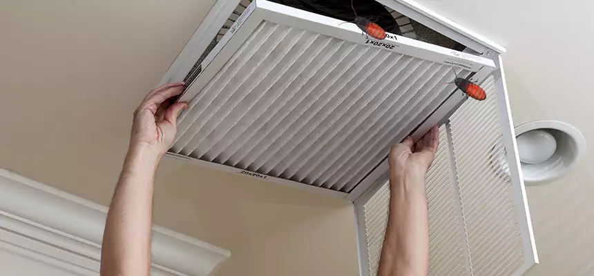 Preventive Cockroach-Proofing for Ducts in Irvine