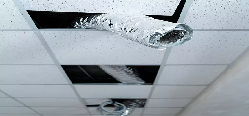 Affordable HVAC Sanitizing After Pest Removal in Irvine