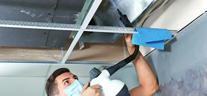 Our Air Duct Rodent Removal Services in Irvine, CA