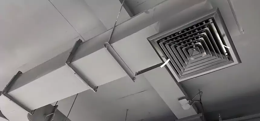 Restorative Allergy Relief Vent Cleaning – Coil, Blower & Housing Detail in Irvine