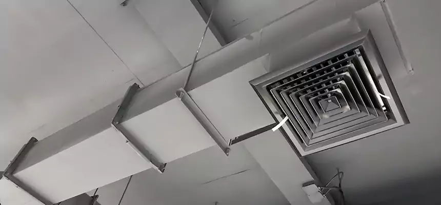 Our Rodent Droppings In Vents Services in Irvine, CA