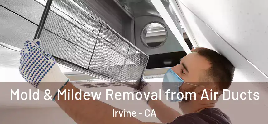 Mold & Mildew Removal from Air Ducts Irvine - CA