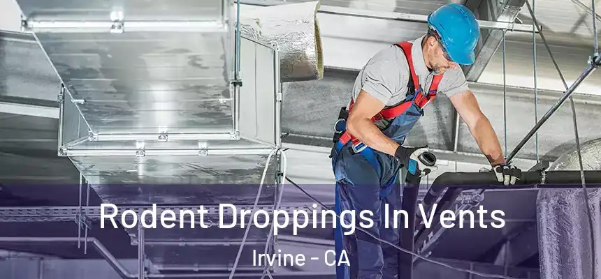 Rodent Droppings In Vents Irvine - CA