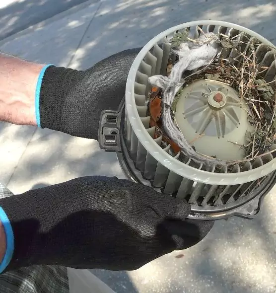 About Air Duct Mice Removal in Irvine, CA